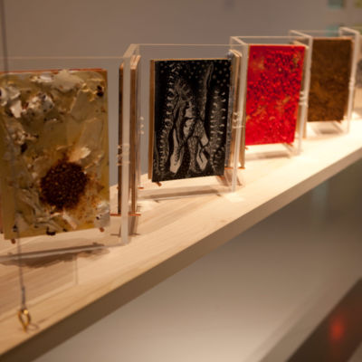 "Book of Dust," Mixed Media, 21 ft. x 20 in. x 20 in., 2012