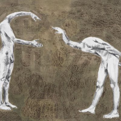 Housed Inside Our Physiology #1,  50" x 46", Graphite on Paper, 2012