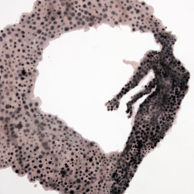 On Forward Momentum #10, Oil, Ink, Water Color on Paper, 44" x 30", 2010