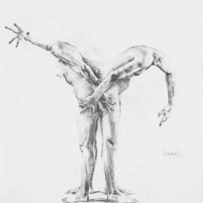 Housed Inside Our Physiology #4, 50" x 60", Graphite, Oil, and Ink on Paper, 2012