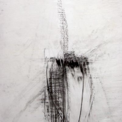 Untitled, Graphite and Pastel on Vellum, 44" x 30", 2010
