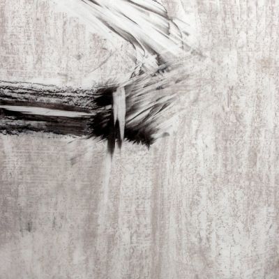 Untitled, Graphite and Pastel on Vellum, 44" x 30", 2010